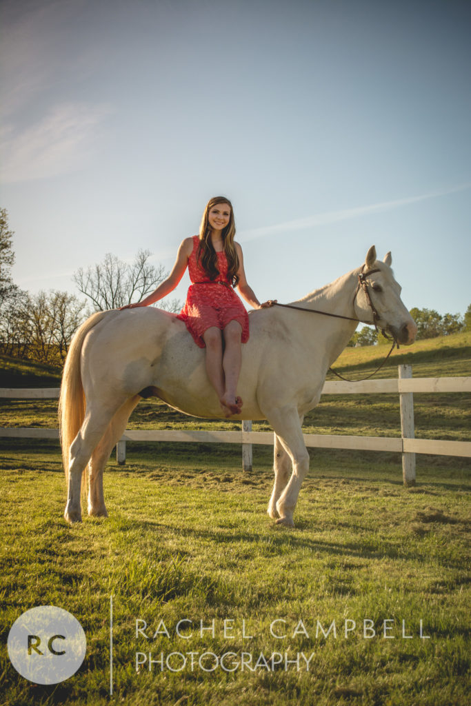 Senior portrait of a young woman sitting on a horse at sunset in Solon Ohio