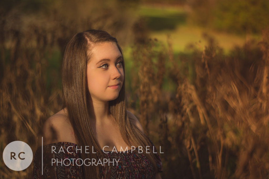 Senior portrait of a young woman sitting in front of cattails at sunset in Solon Ohio