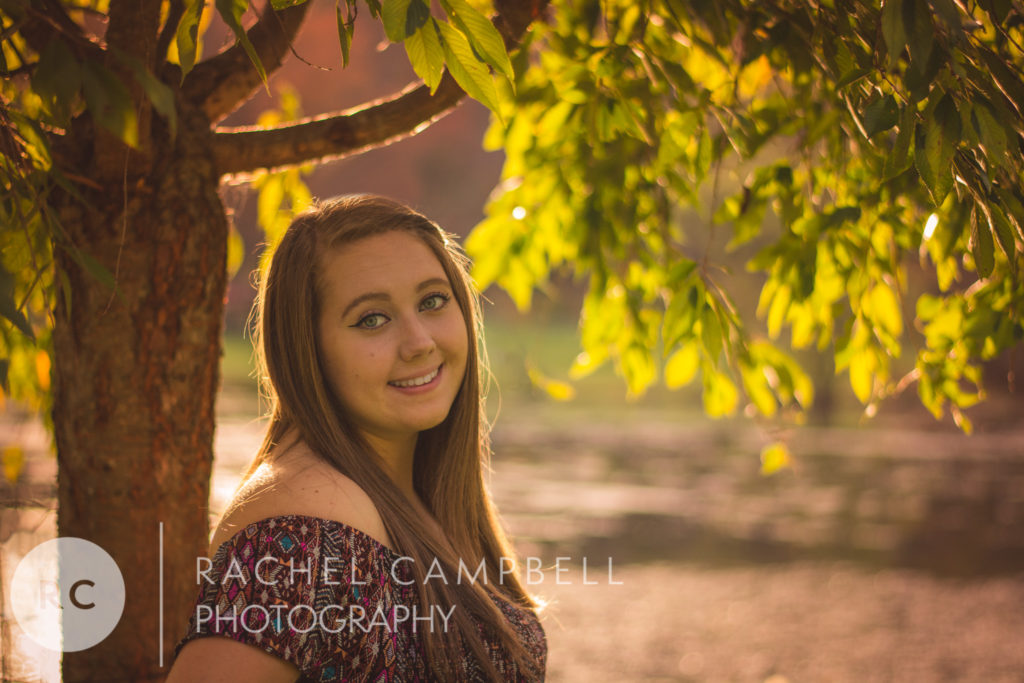 Senior portrait of a young woman under a tree at sunset in Solon Ohio